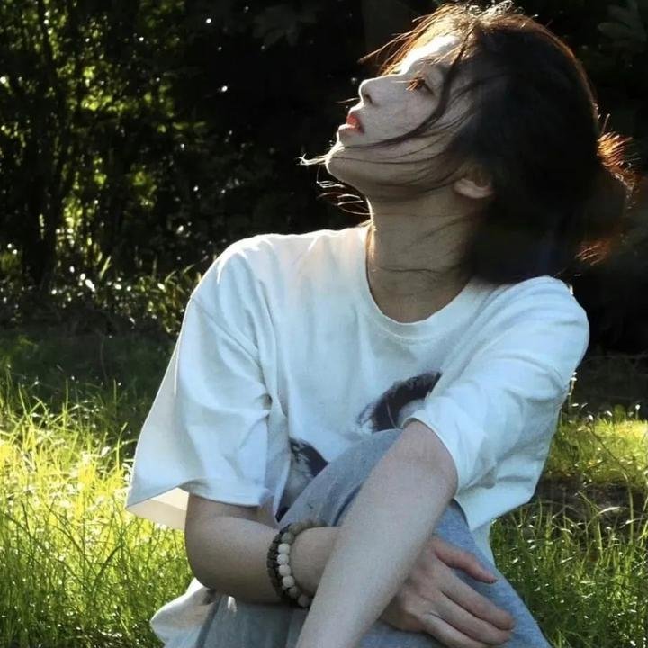 明月守护者 在线观看