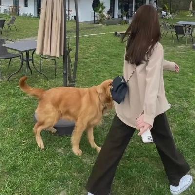 恶霸警察 在线观看